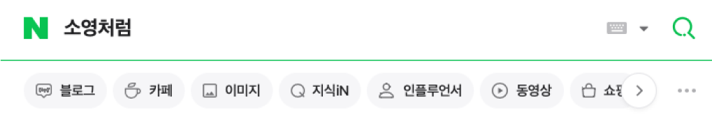 네이버에 검색된 소영처럼